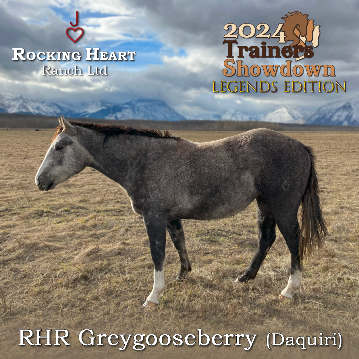RHR-Greygooseberry-(Daquiri)