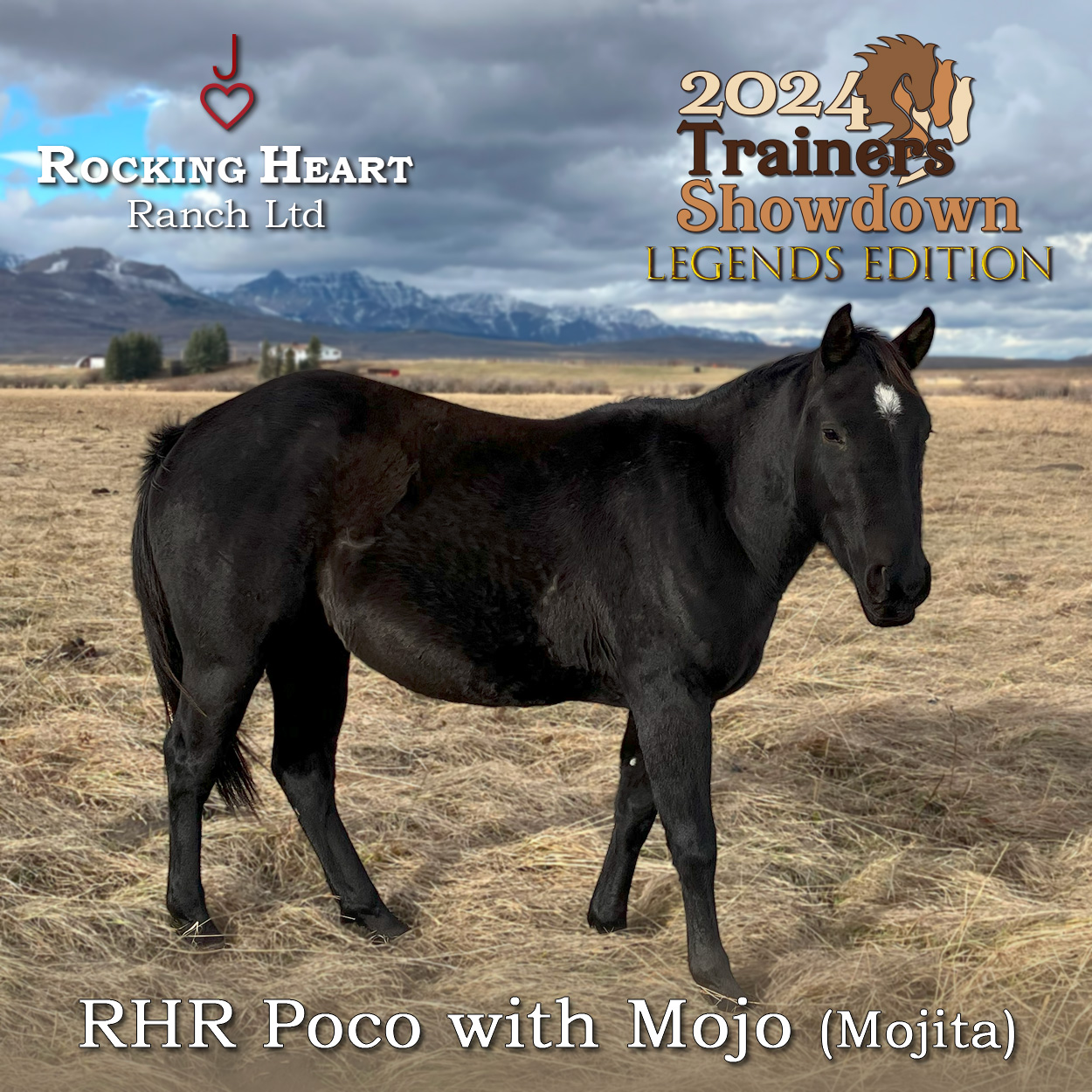 RHR Poco with Mojo (Mojita)