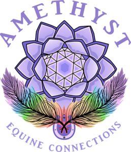 Amethyst Equine Connections